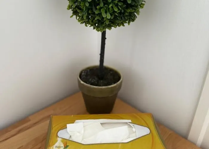 Ovarosi דירה *